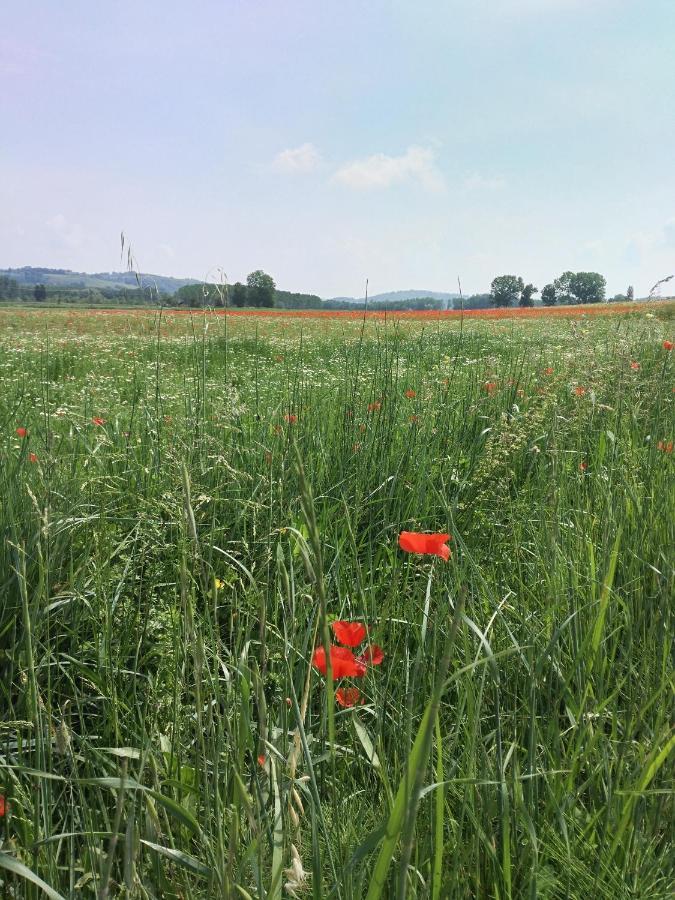 Bio Agriturismo Pratini Monte Lopio Екстериор снимка